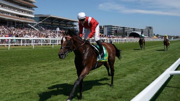 Grocer Jack in action on victory at Newbury