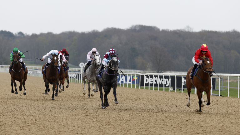 Internationalangel is unable to catch Highfield Princess on the All-Weather at Newcastle