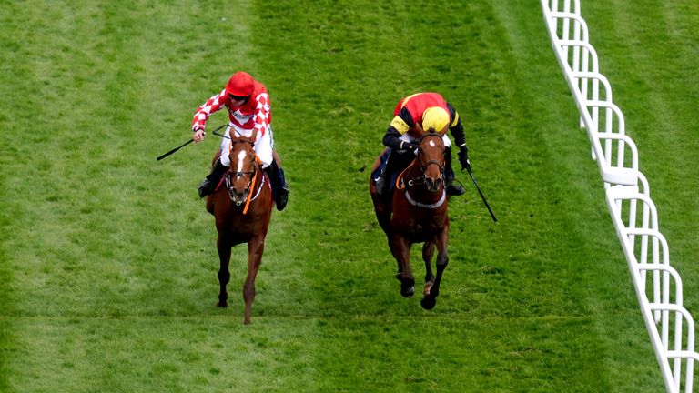 Knight Salute (right) and Pied Piper hit the line together at Aintree