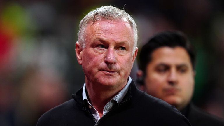 Michael O'Neill has been sacked by Stoke