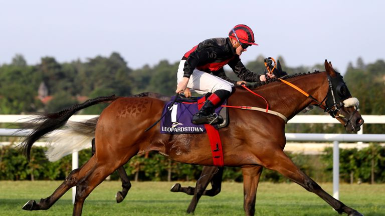 Peregrine Run in winning action at Leopardstown for trainer Peter Fahey