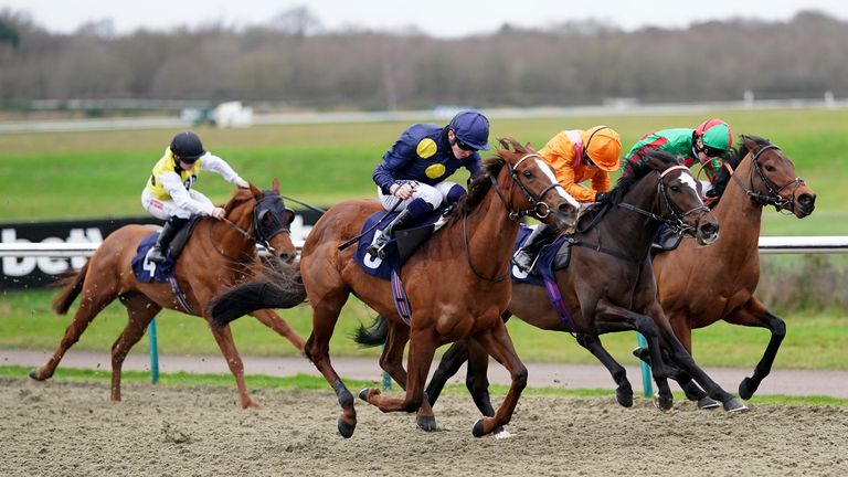 Pink Crystal wins at Lingfield - can she repeat the trick at Brighton on Friday?