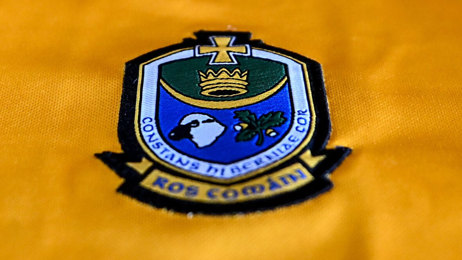 GAA matches called off for weekend due to referee protest following alleged assault
