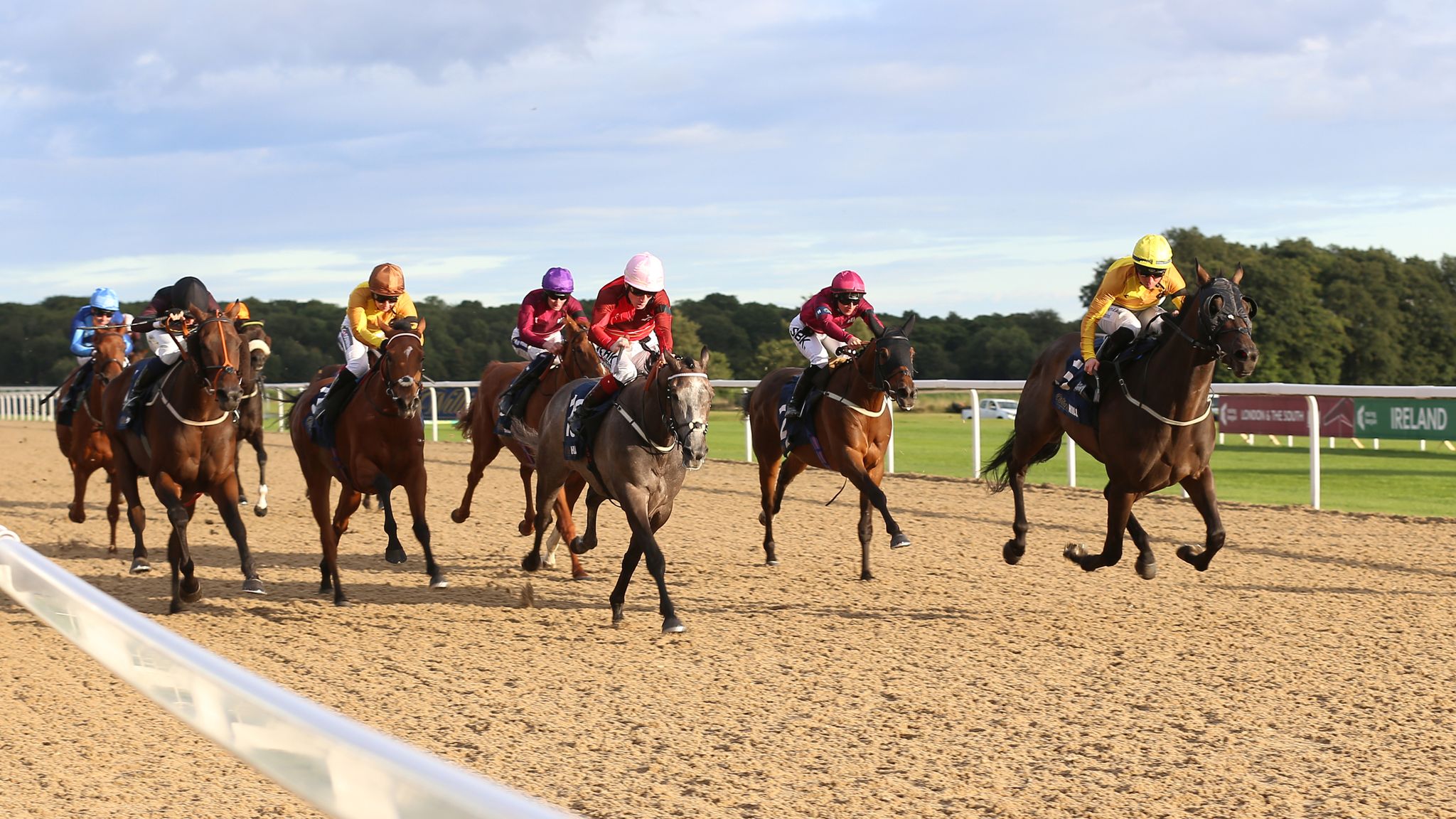 Racing League Night One Get The Edge With Harry Wilsons Class Drop Insight - bupxhk9