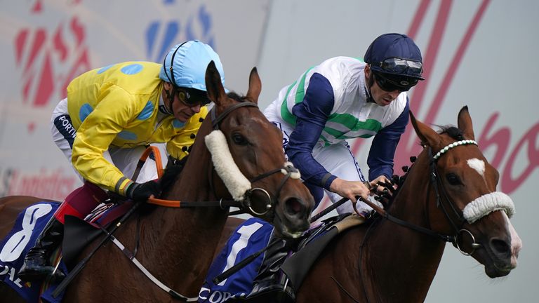 David Probert wins the Doncaster Cup on Coltrane