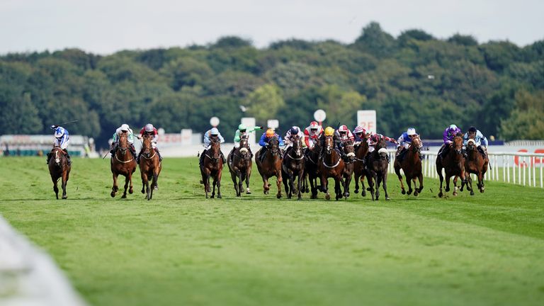 Runners spread across the field at Doncaster during the 2021 St Leger Festival