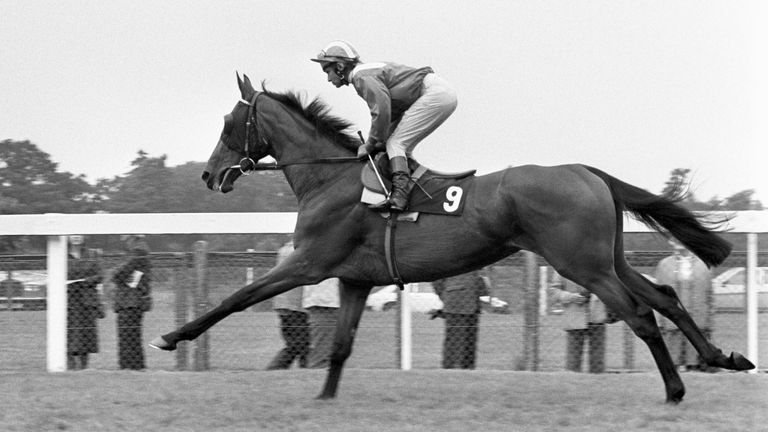 Height Of Fashion with Willie Carson in the saddle