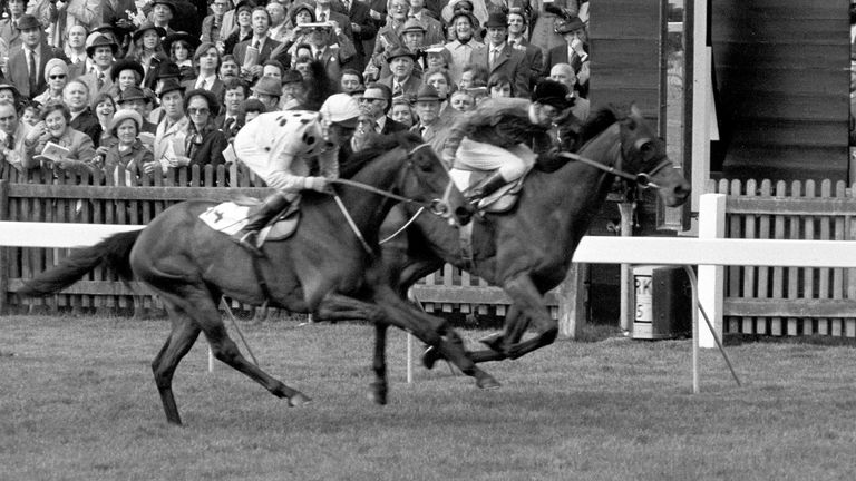 Highclere (far side) wins in a photo finish to the 1000 guineas at Newmarket in 1974