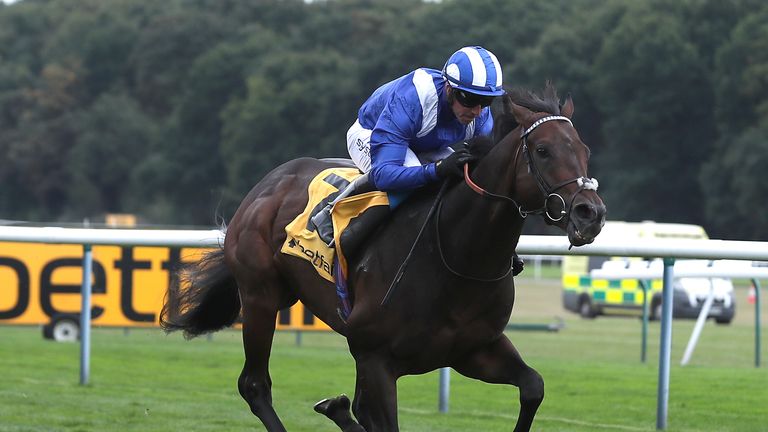 Minzaal cruises to victory at Haydock in the Sprint Cup