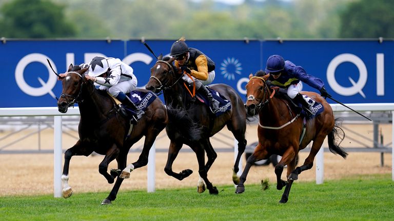 Novemba (black and orange) sent home to Jumbly in Ascot