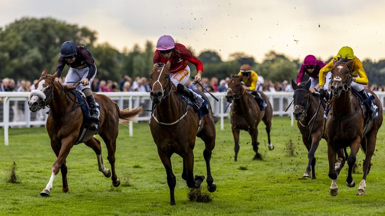 Safari Dream (pink cap) comes home in front at Windsor in the Racing League