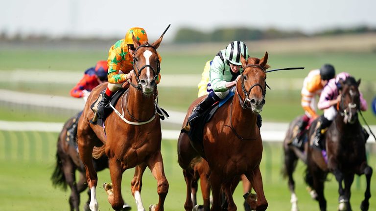 Tenerife Sunshine makes its mark on the second try with victory at Newmarket