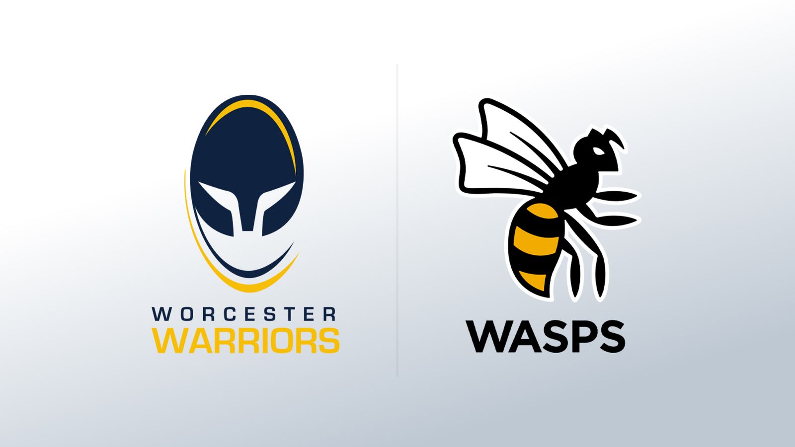 Les guêpes joueront en championnat la saison prochaine mais pas de place pour les Worcester Warriors |  Actualités du rugby à XV