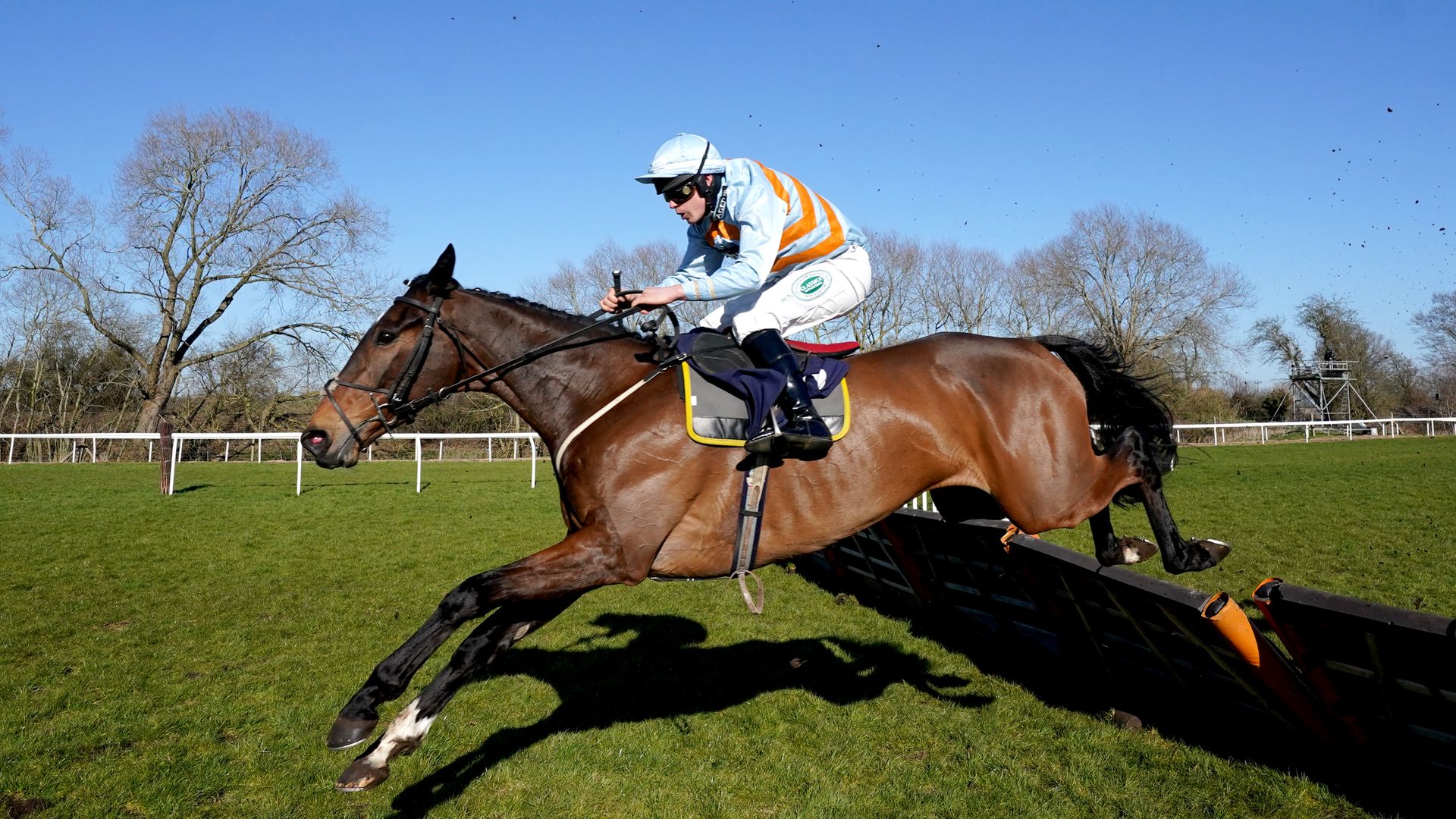 Midlands Grand National horse-by-horse runners guide