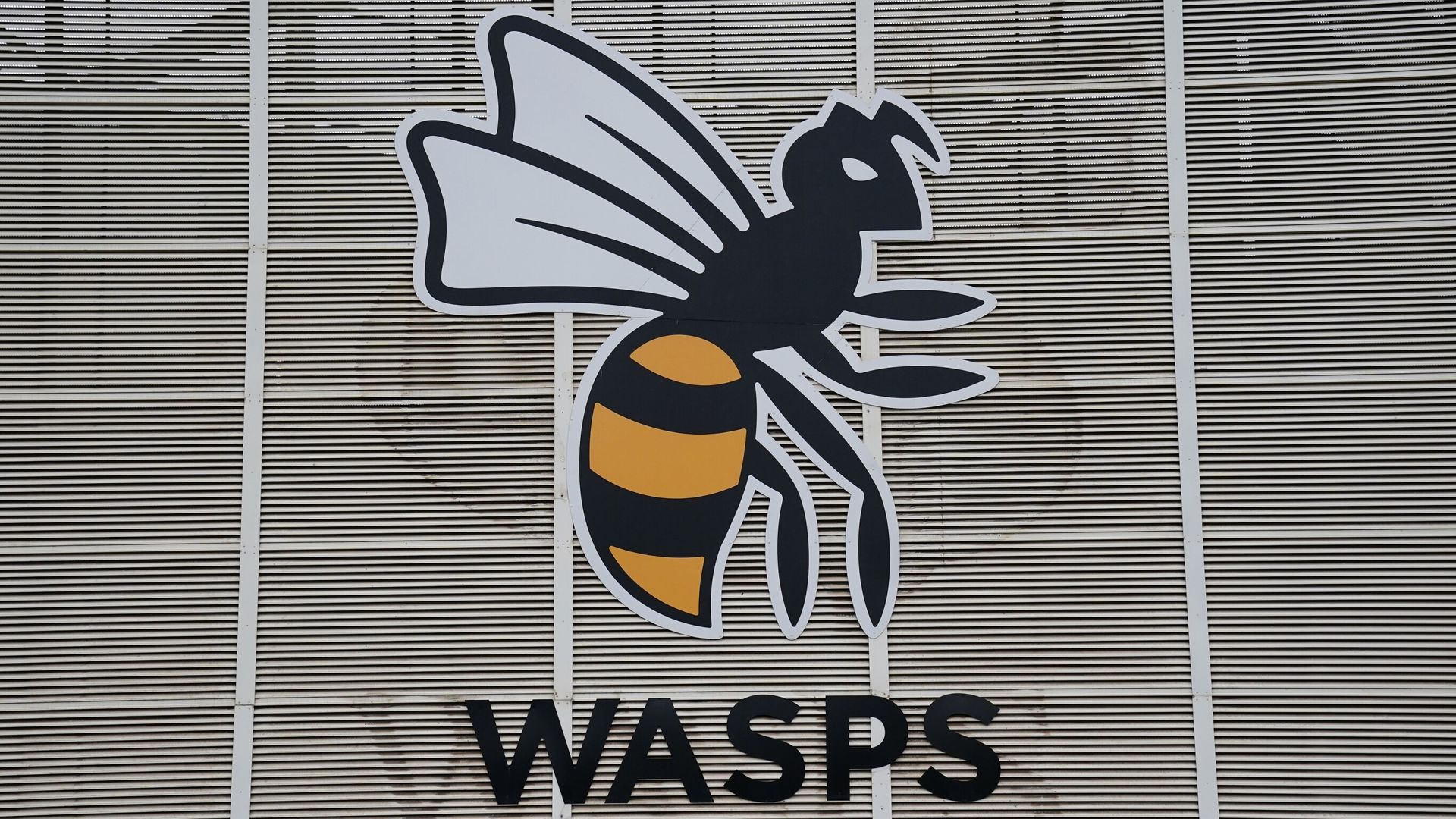 RFU withdraws Wasps' Championship licence| Wasps: 'Time extensions refused'