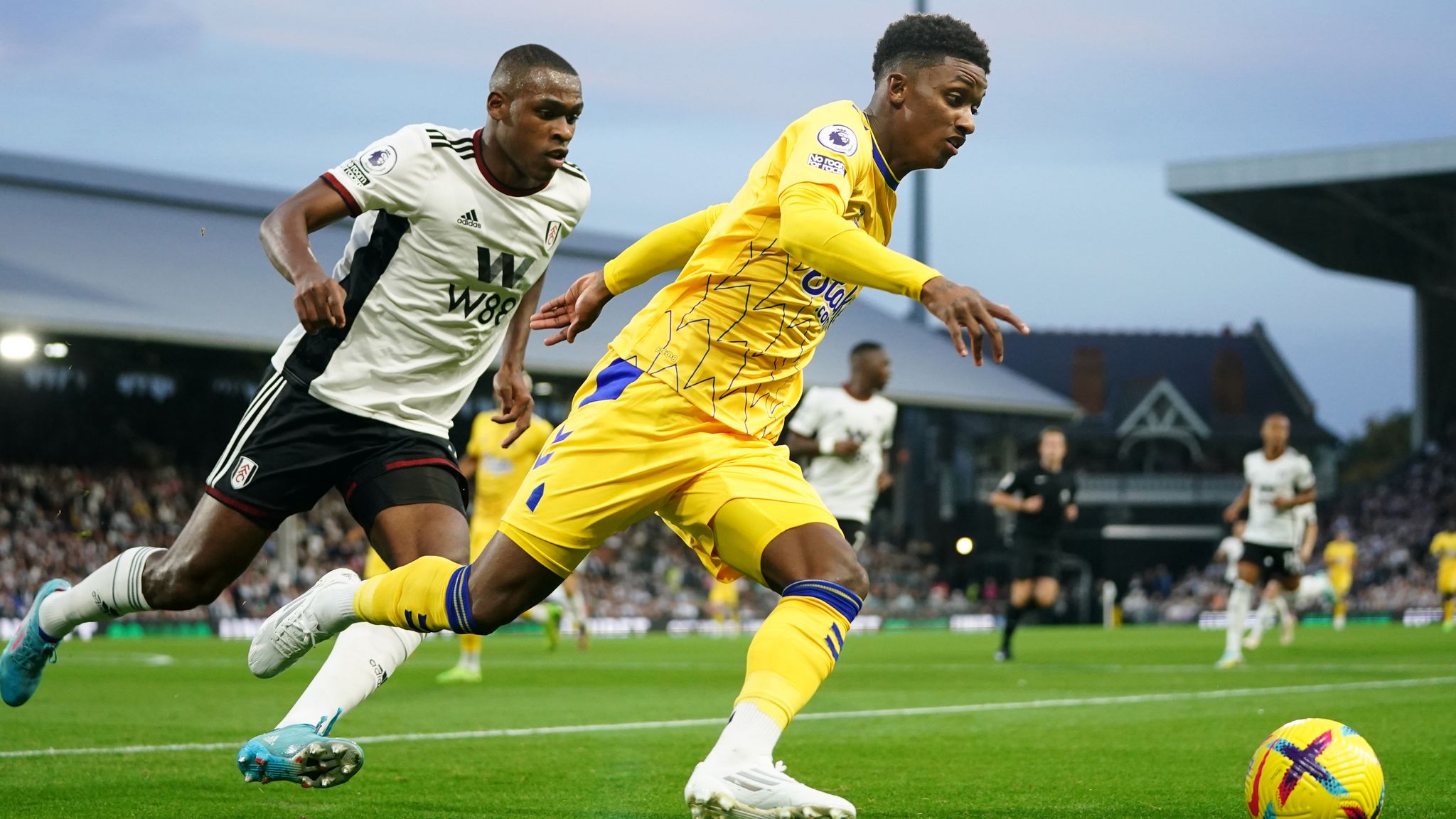 Fulham 0-0 Everton: Jordan Pickford Frustrates Hosts As Willian Denied ...