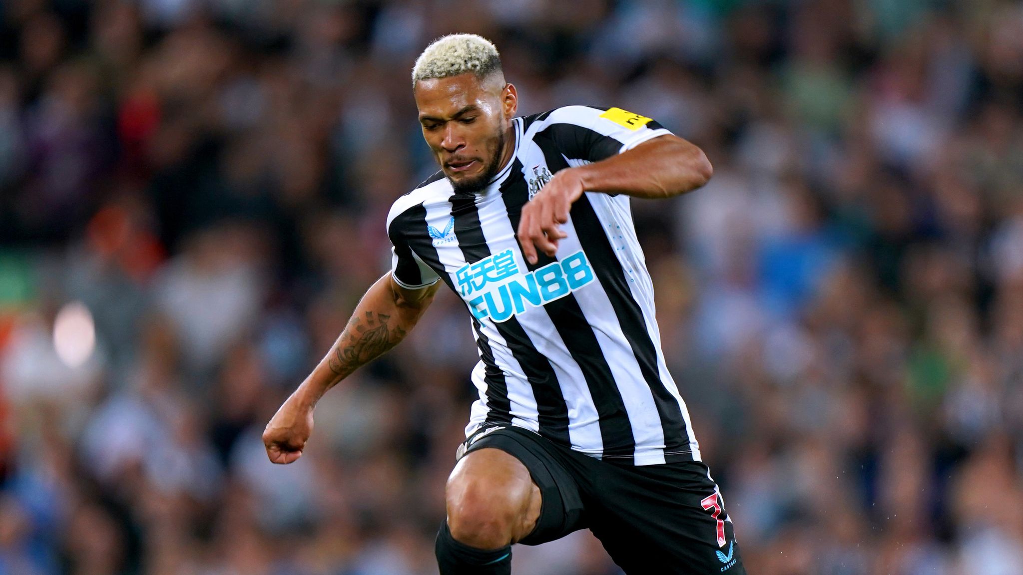 Key Newcastle United man 'a doubt' v Chelsea as £12m star suffers six-week  injury