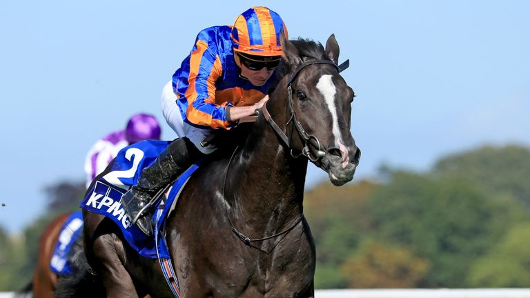 Auguste Rodin is ante-post favourite for the Derby at Epsom next year