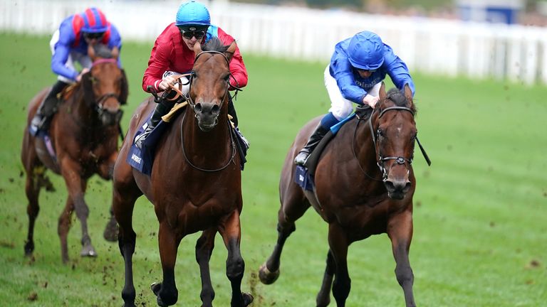 Bay Bridge wins the Champion Stakes at Ascot