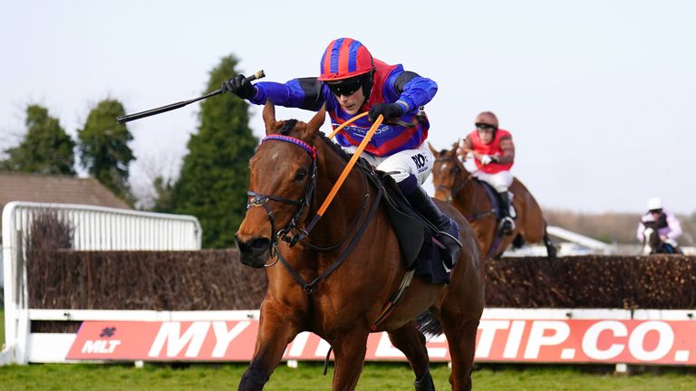 Fairway Freddy in winning action at Plumpton