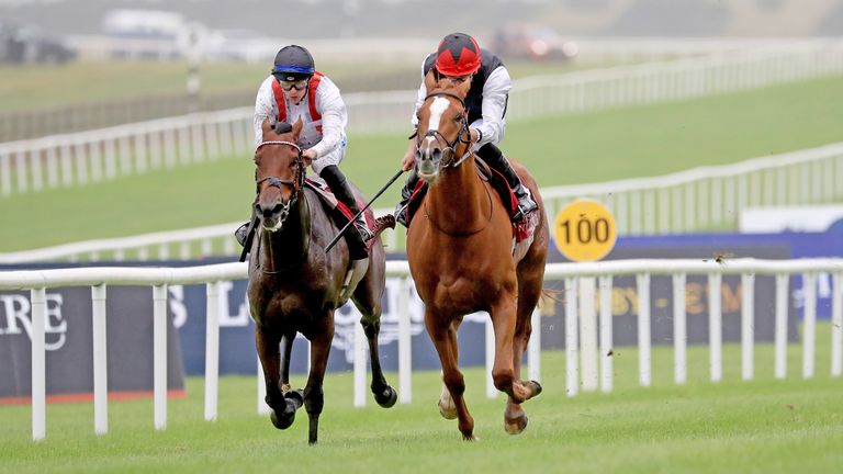 Hamish (left) finished behind Kyprios in the Irish St Leger