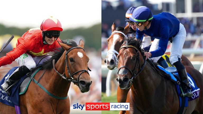 Highfield Princess and Golden Pal are set to clash in the Breeders' Cup Turf Sprint, live on Sky Sports Racing on November 5