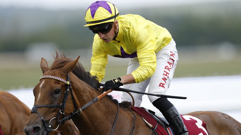 Tom Marquand has steered Sea La Rosa to four Group successes this season
