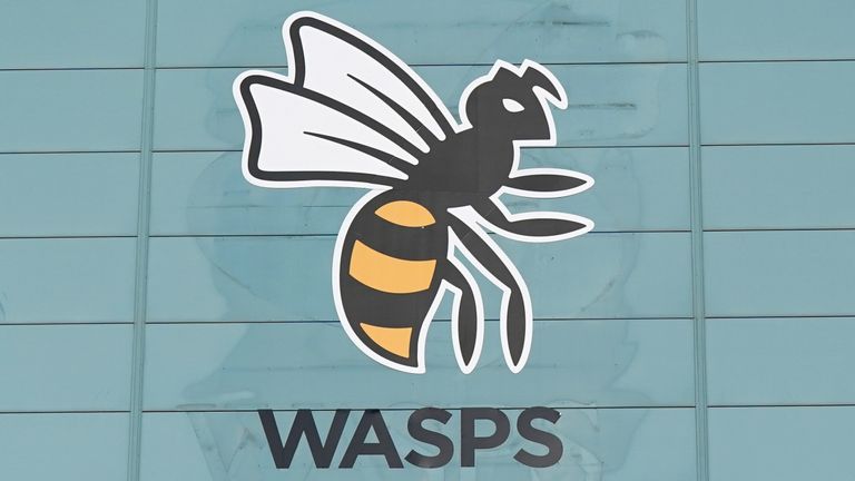 Wasps have revealed a plan to try and move to a permanent location in Kent