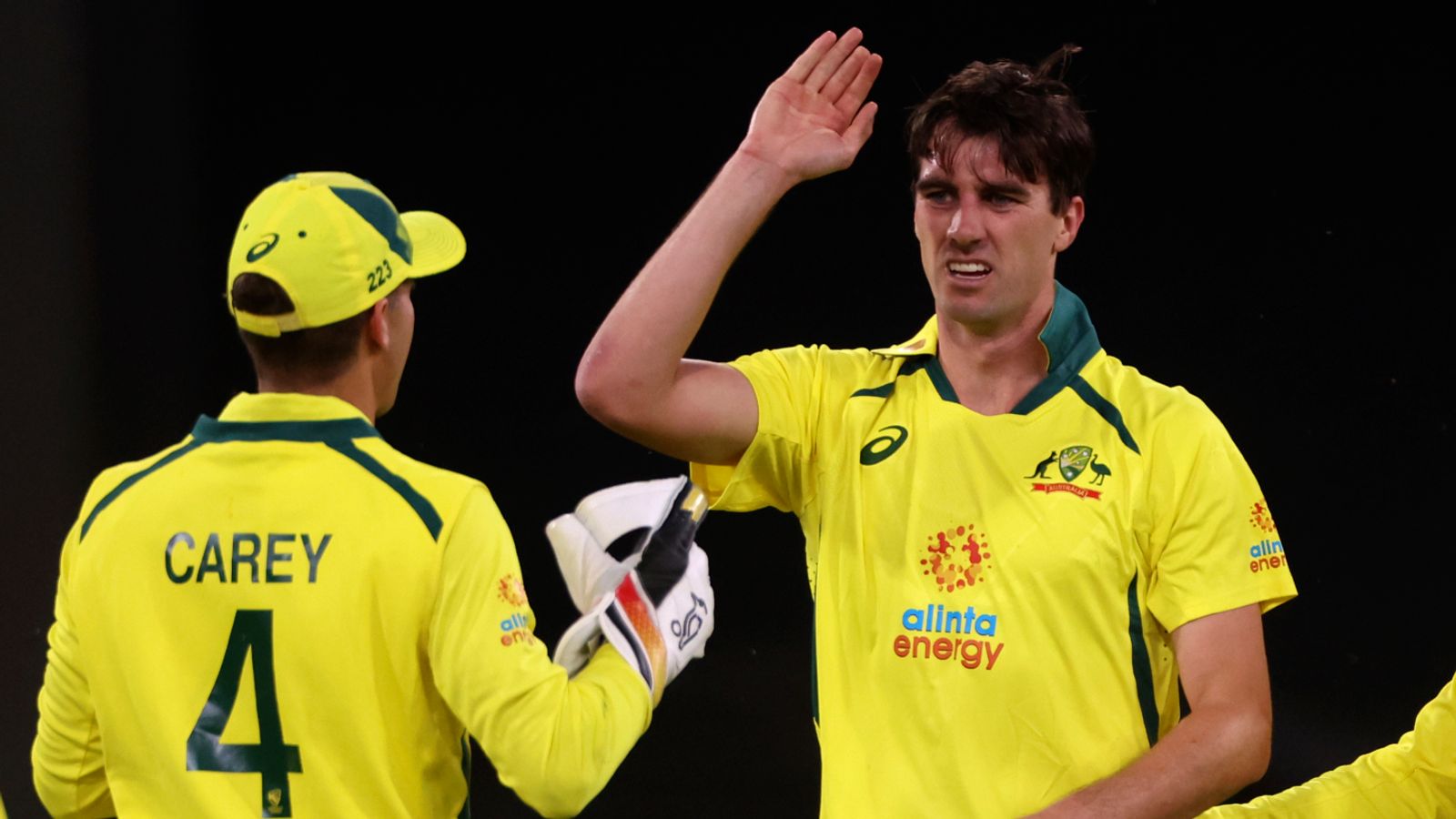 Australia thump England by 221 runs on DLS in Melbourne to clinch 3-0 one-day international series sweep