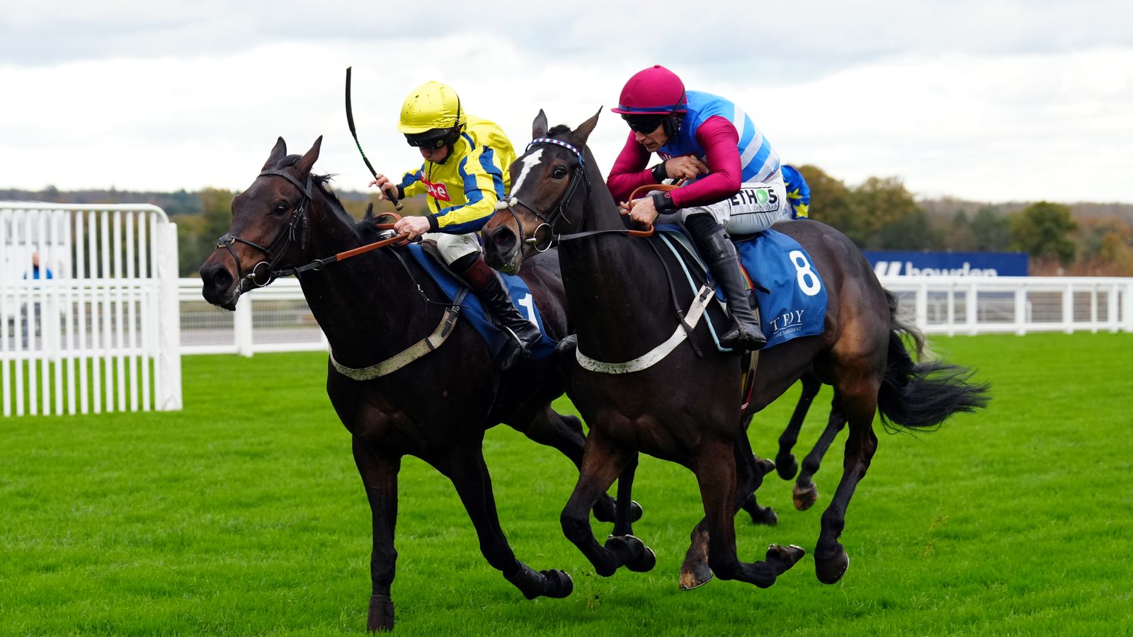 Ascot November Racing Weekend: Adrian Heskin lands a double while Your Darling delivers in style for Ben Pauling