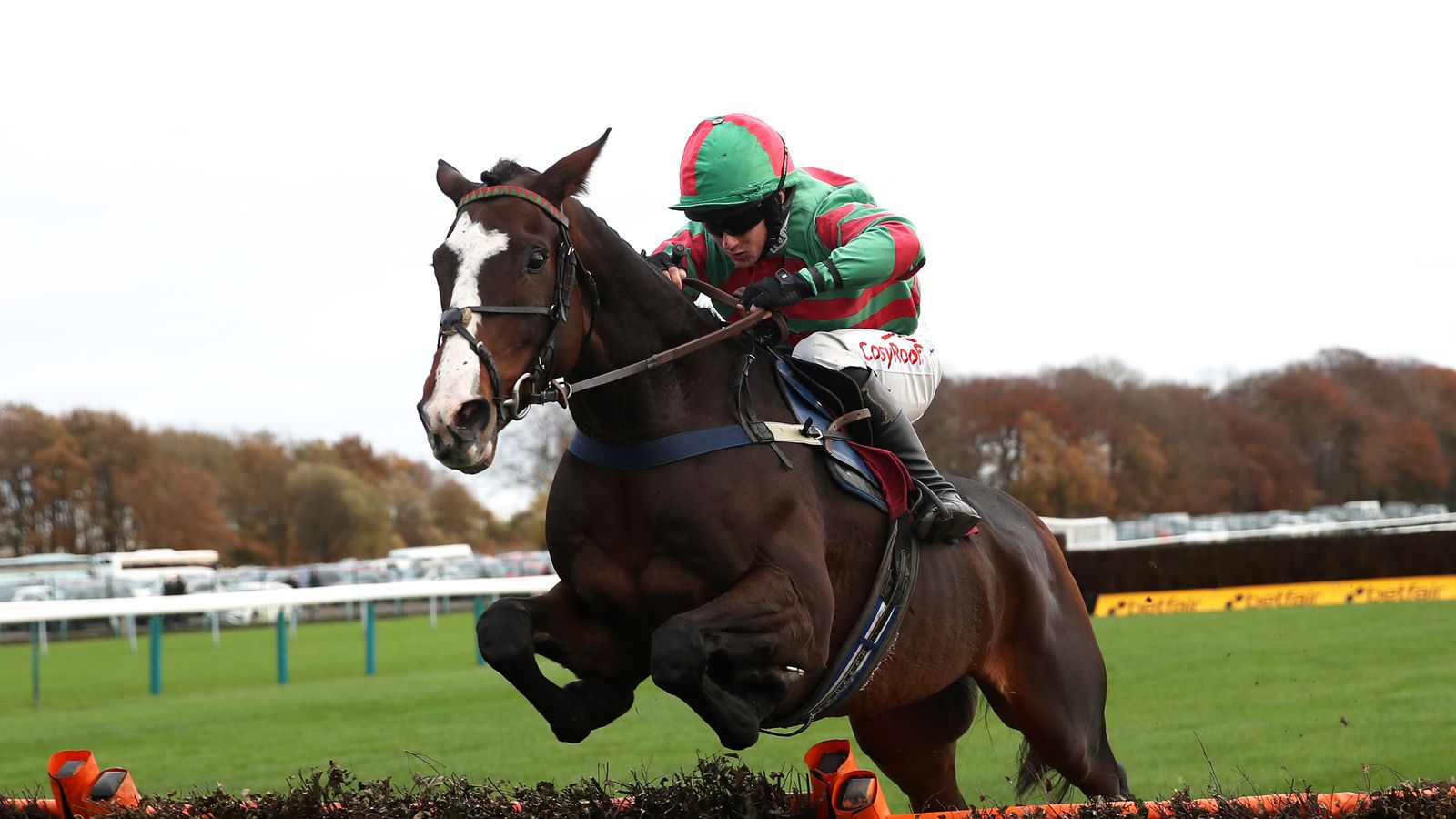 Fighting Fifth Hurdle Ian Hamilton gets Tommy's Oscar ready to take on