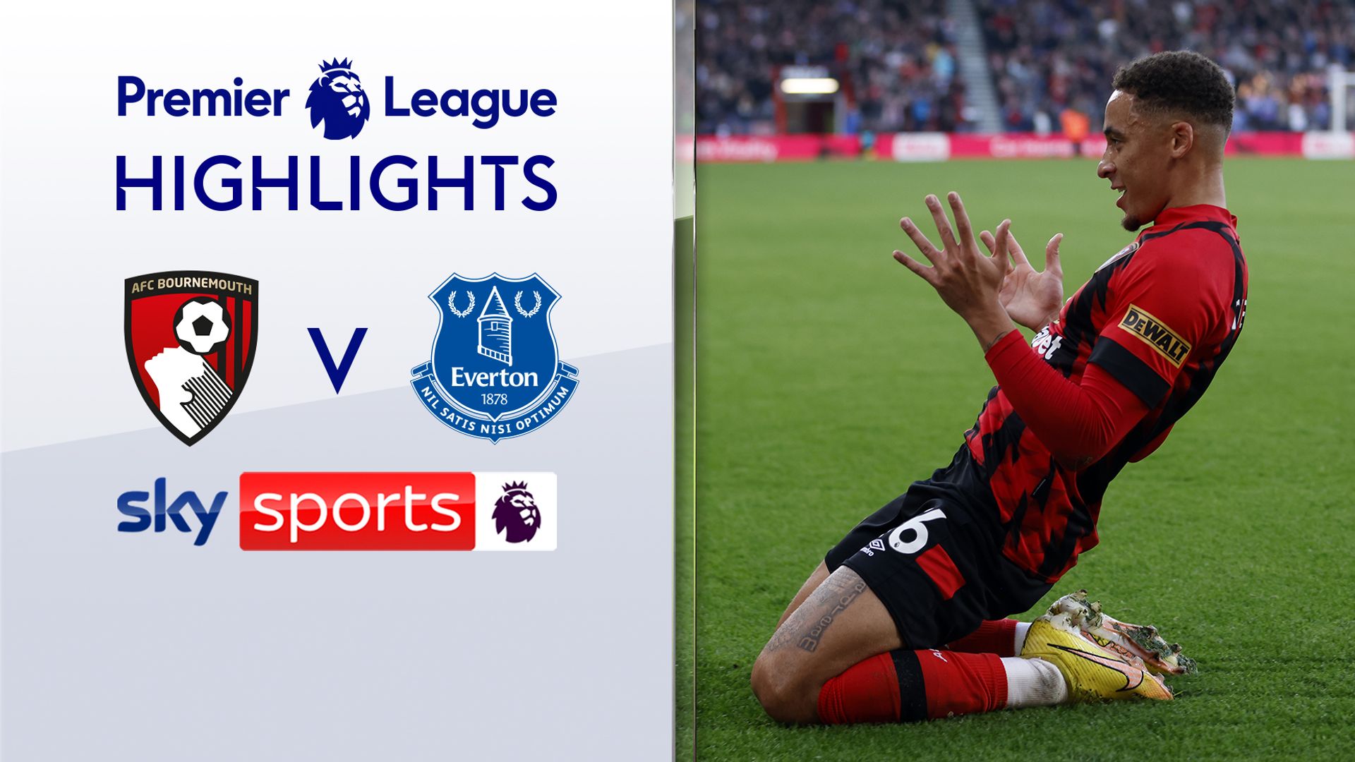 Ruthless Bournemouth sweep Everton aside