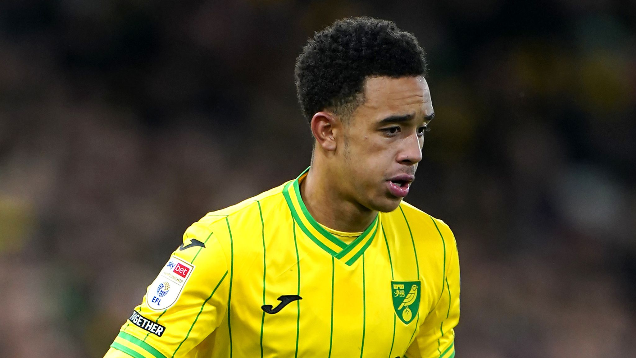 Norwich City 0-0 Rotherham: Canaries held to goalless draw