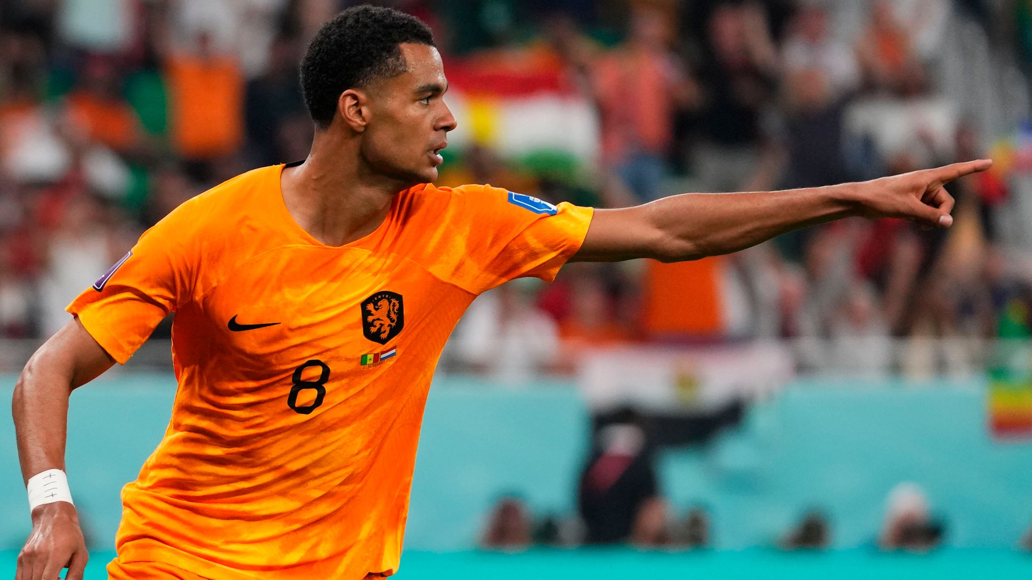 World Cup 2022 - Senegal 0-2 Netherlands: Cody Gakpo and Davy Klaassen get Dutch off to winning start | Football News | Sky Sports