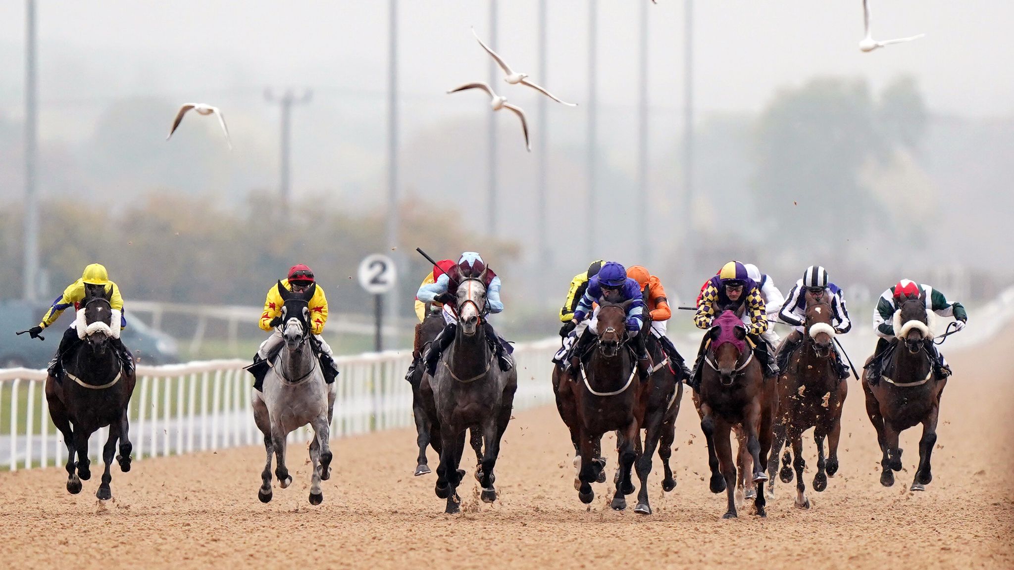 Today On Sky Sports Racing Southwell Hosts Eight race Card On All Today On Sky Sports Racing Southwell Hosts Eight race Card On All