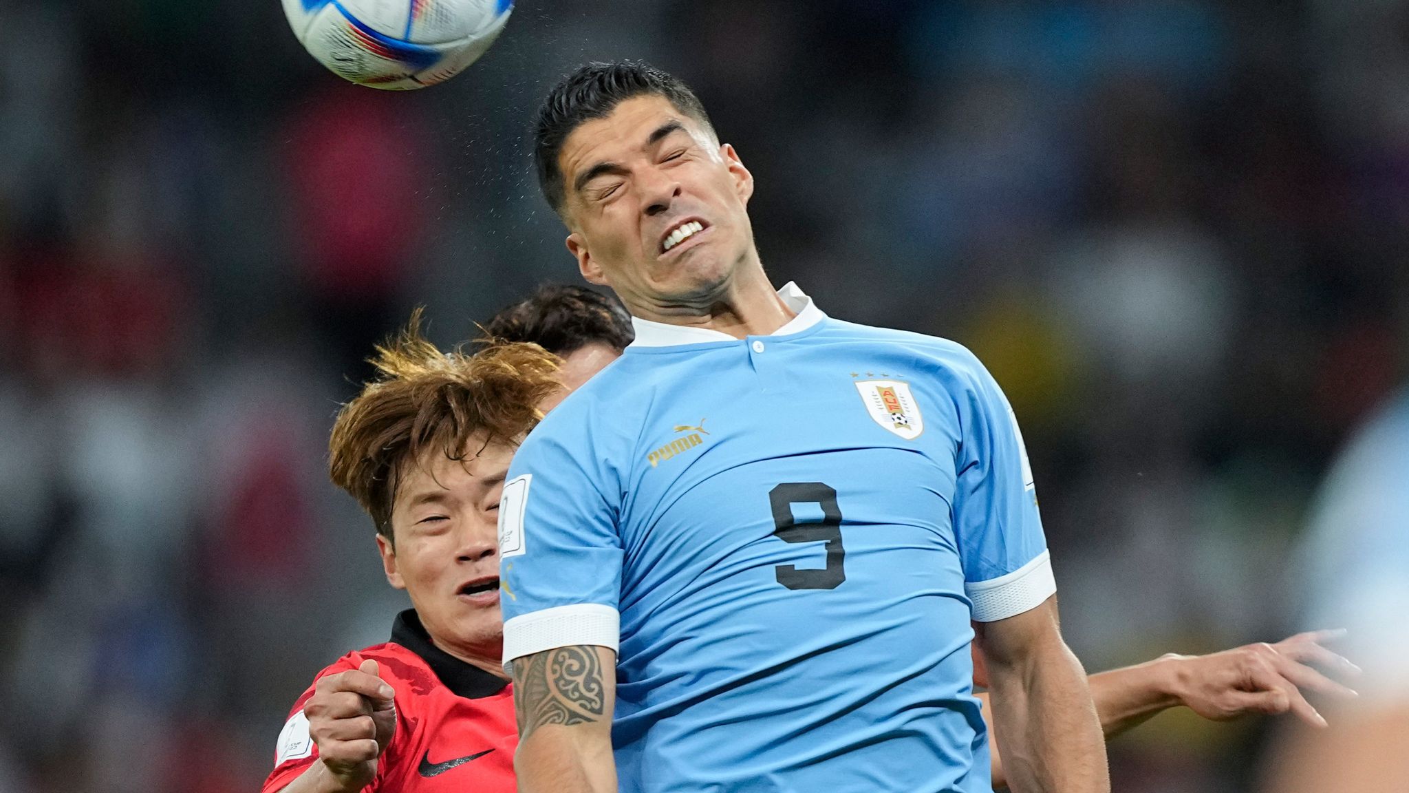 World Cup 2022 - Uruguay 0-0 South Korea: Goalless draw in Group H opener | Football News | Sky Sports