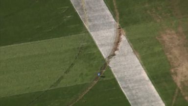 A vandal damaged the field the Cleveland Browns call home