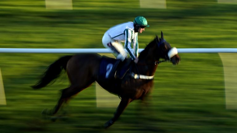 Creative Control in winning action under Brian Hughes at Doncaster