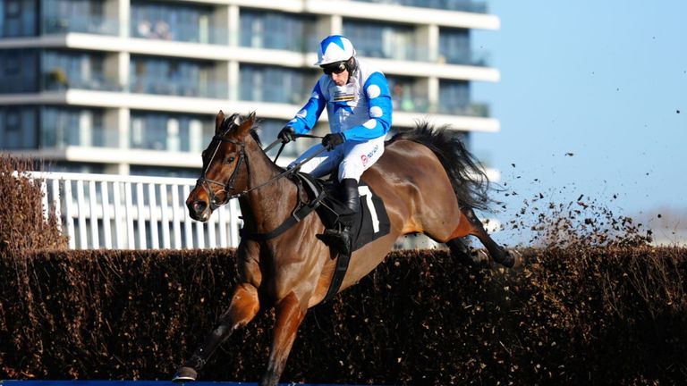 Frere D&#39;Armes and Harry Skelton on their way to victory at Newbury