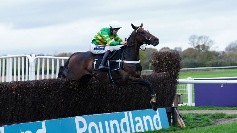 Jonbon made a pleasing start to life over fences with a straightforward success at Warwick