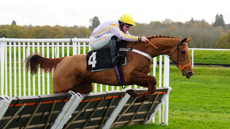 Luccia is the new 5/1 favourite for the Mares' Novices' Hurdle at the Cheltenham Festival after victory at Newbury