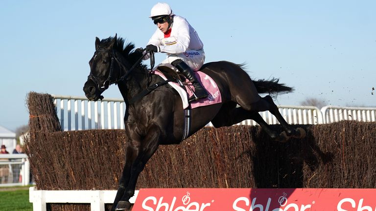 Nube Negra wins the Shloer Chase with ease at Cheltenham