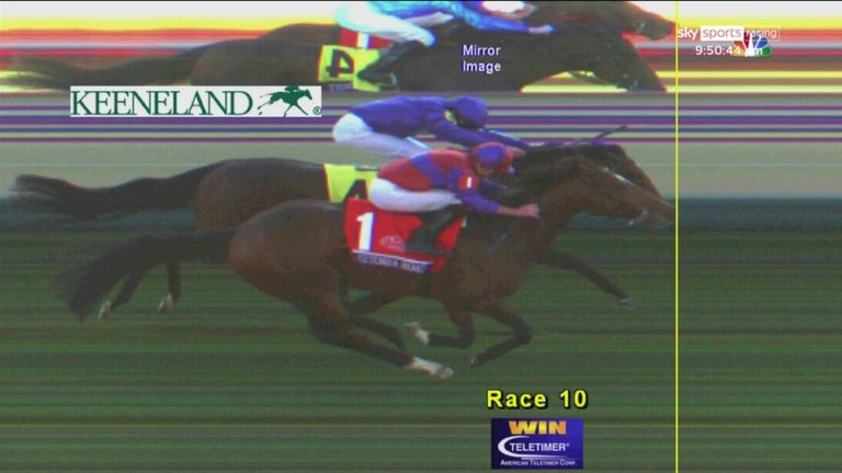 The photo finish confirms that Victoria Road has (almost) beaten Silver Knott by a nose