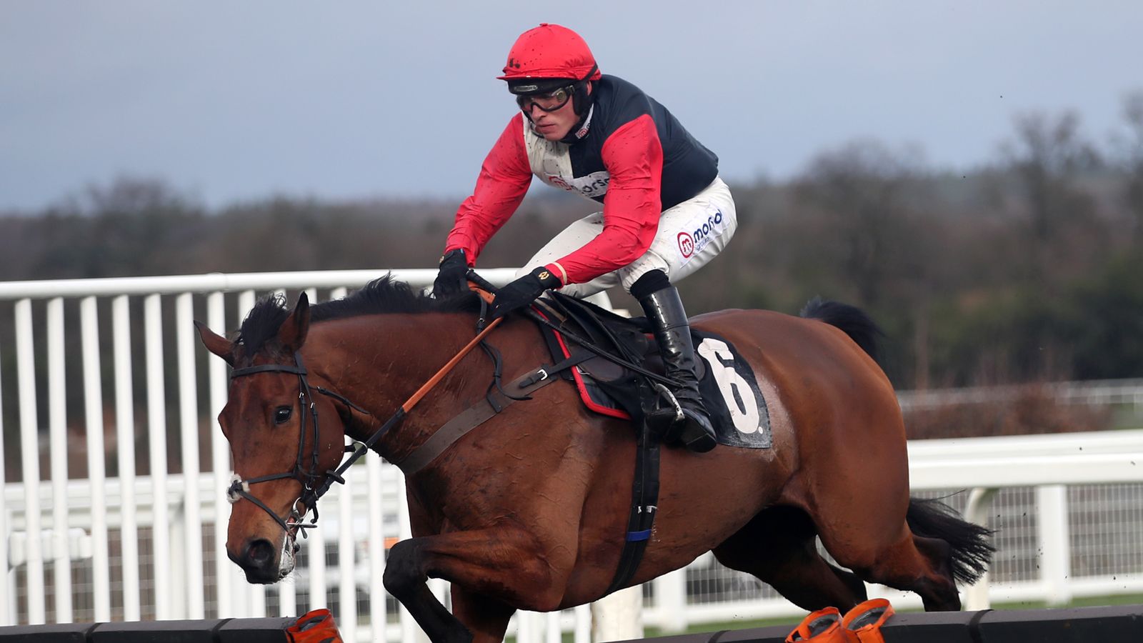 Today on Sky Sports Racing: Sodexo Gold Cup at Ascot and Breeders' Cup ...