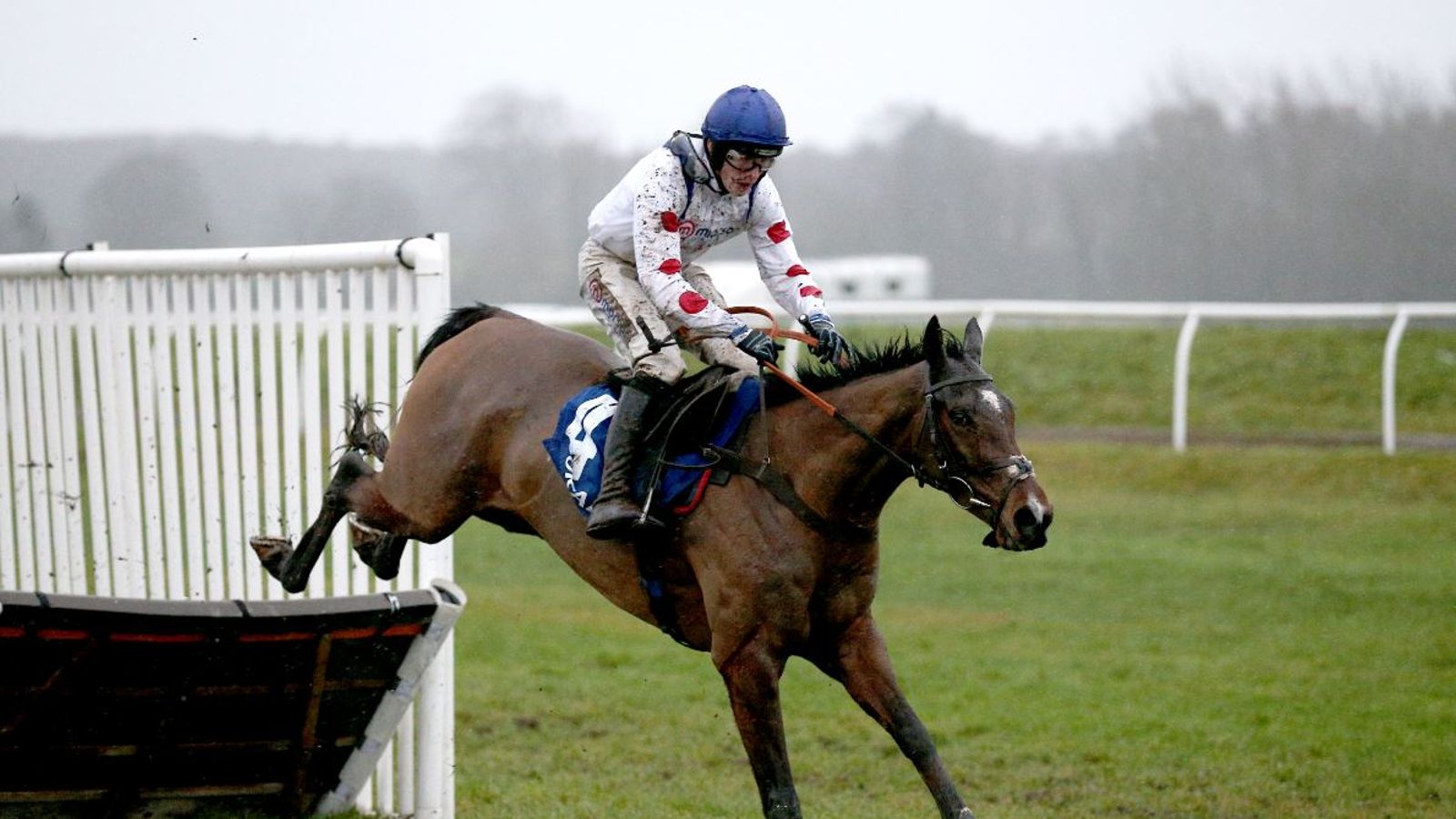 Challow Novices’ Hurdle: Hermes Allen destroys rivals at Newbury to go 7/2 favourite for Ballymore at Cheltenham