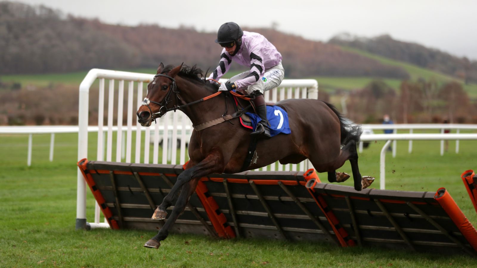 Long Walk Hurdle: Miranda set to step up in class at Ascot for Paul Nicholls and Owners Group syndicate