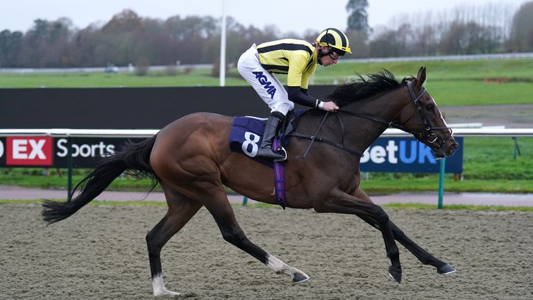 Al Agaila is eased down to win the Winter Oaks Trial at Lingfield