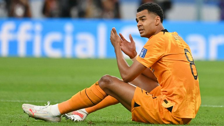 Cody Gakbo montre sa frustration pendant Holland & # 39;  Quarts de finale de la Coupe du monde avec l'Argentine