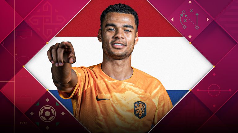 PSV and Netherlands forward Cody Gakpo