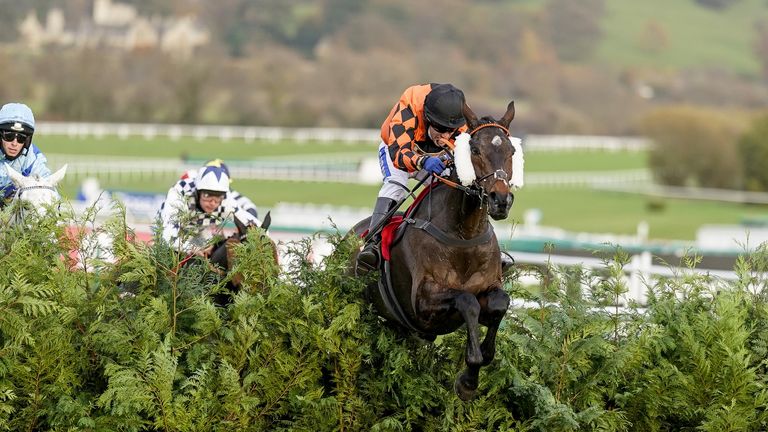 There will be no Cross Country race run at Cheltenham on Friday